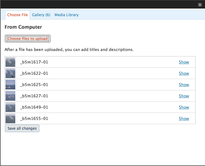 Example of the media interfaces, with 6 pictures uploaded to the page library.